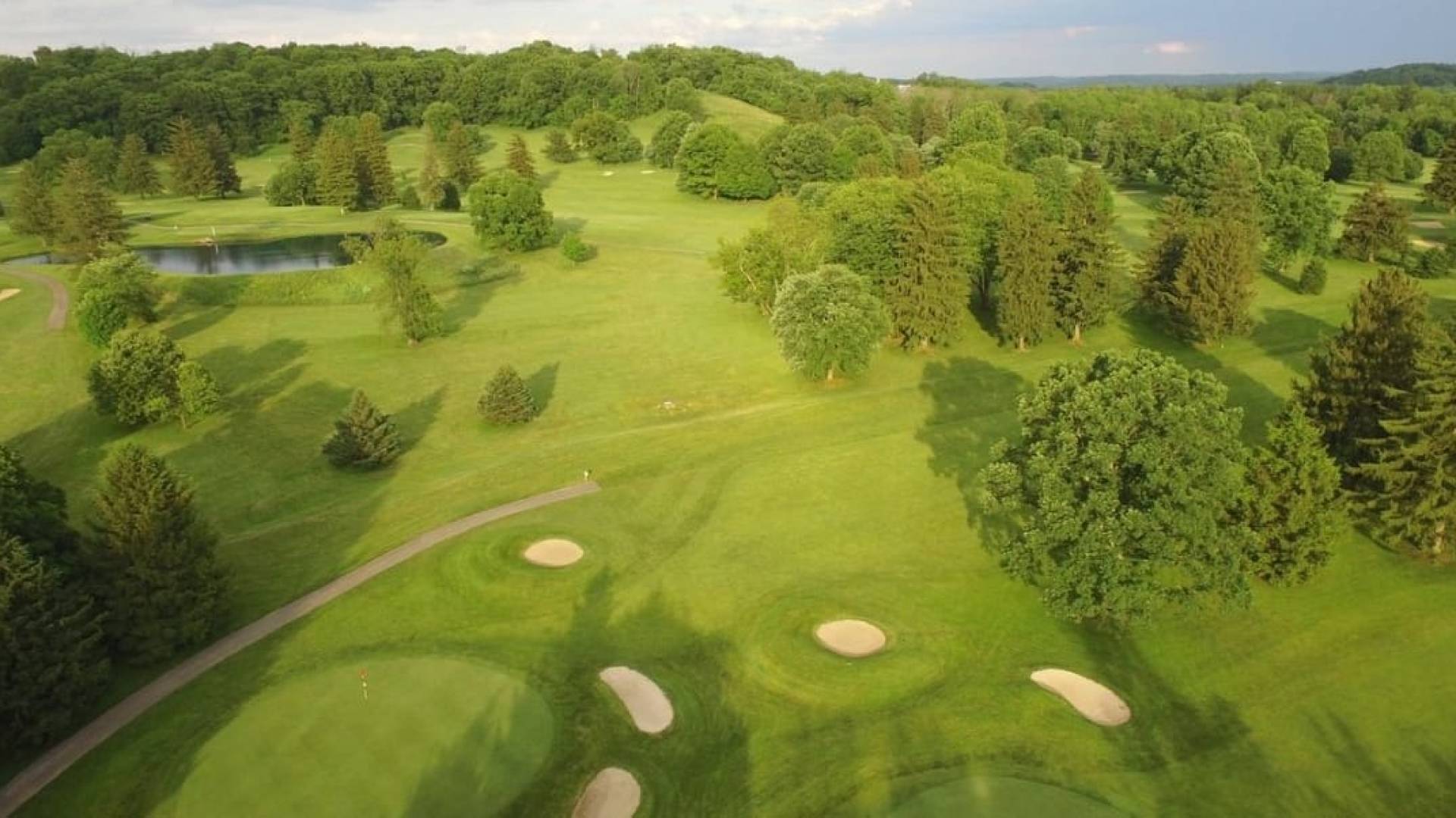 Raccoon International